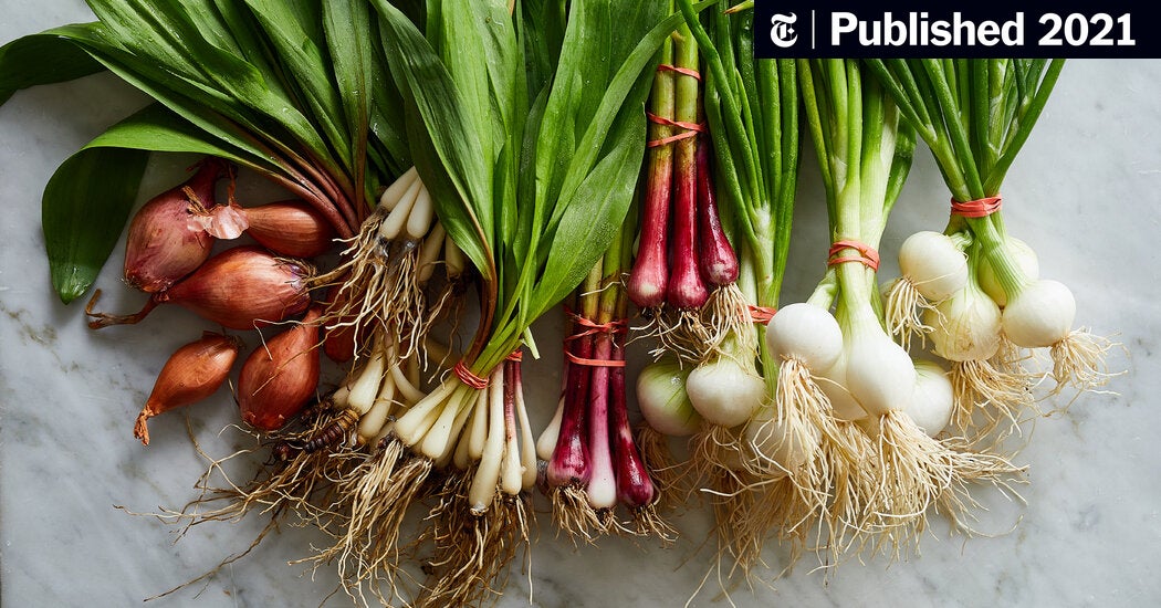 Garlic vs Shallots: Flavorful Alliums Compared