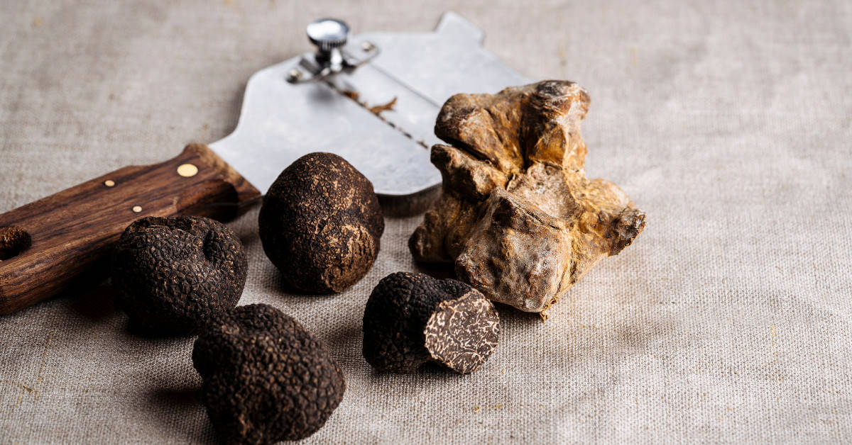 Black Truffle Oil vs White: Enhancing Dishes with Truffle Essence