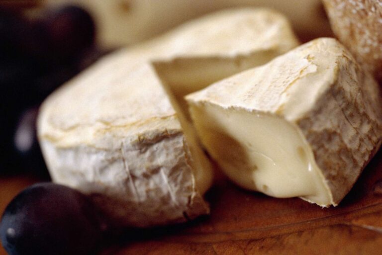 Camembert Cheese vs Brie: Deciphering Soft Cheese Varieties