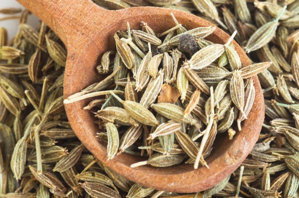 Fennel vs Caraway: Anise-Flavored Showdown