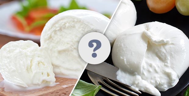 Burrata Cheese vs Mozzarella: Understanding Creamy Cheese Differences