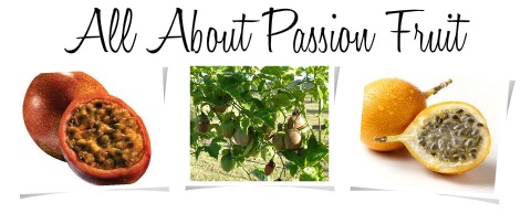 Granadilla vs Passion Fruit: Comparing Two Exotic Fruits